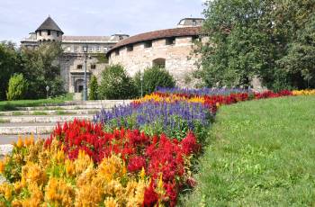 Top 3 Spring Outings in Budapest