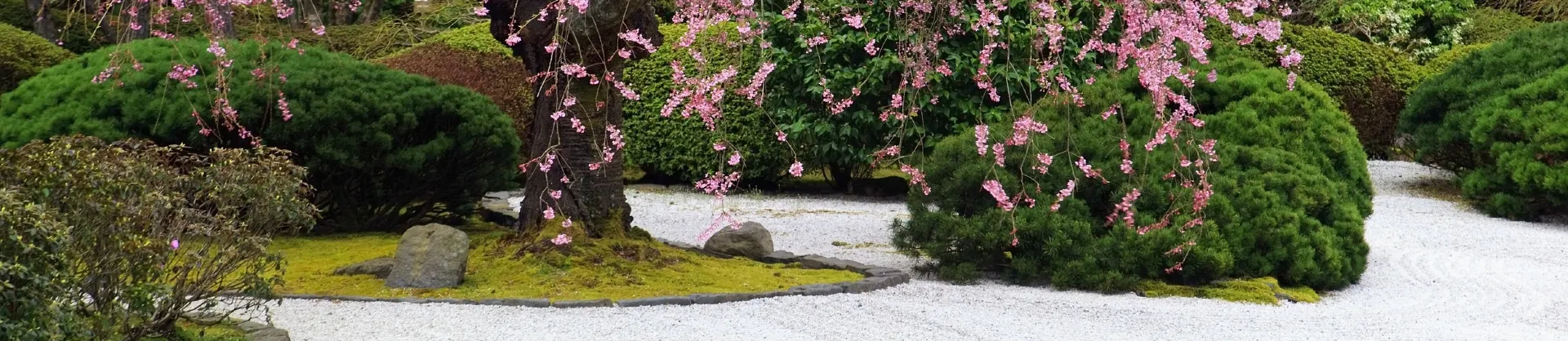 Sites de Randonnée Florale
