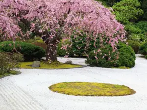 Popular Spring Outings in Oregon