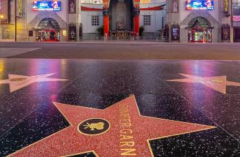 Popular Trending Attractions in Los Angeles