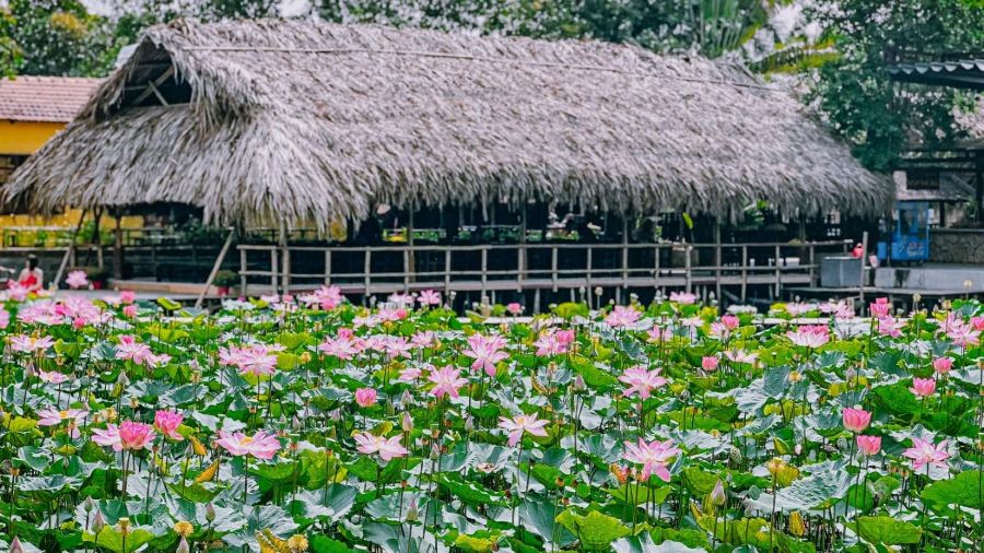 Nha Trang Xua Restaurant