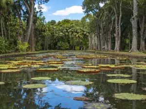 Sir Seewoosagur Ramgoolam Botanical Garden