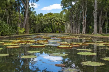 Sir Seewoosagur Ramgoolam Botanical Garden
