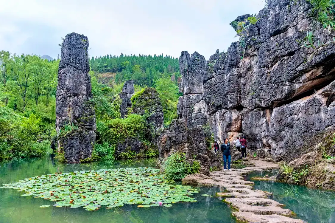 수생보 주변 호텔