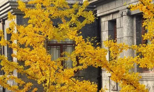 Taiyuan Shanxi Merchants Museum