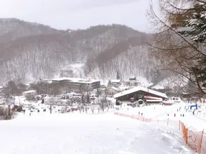 Bankei ski area