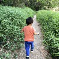 船灣淡水湖集水區