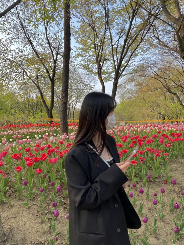 데이트하기 좋은 '서울숲'