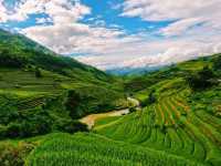 The magnificent rice terraces 