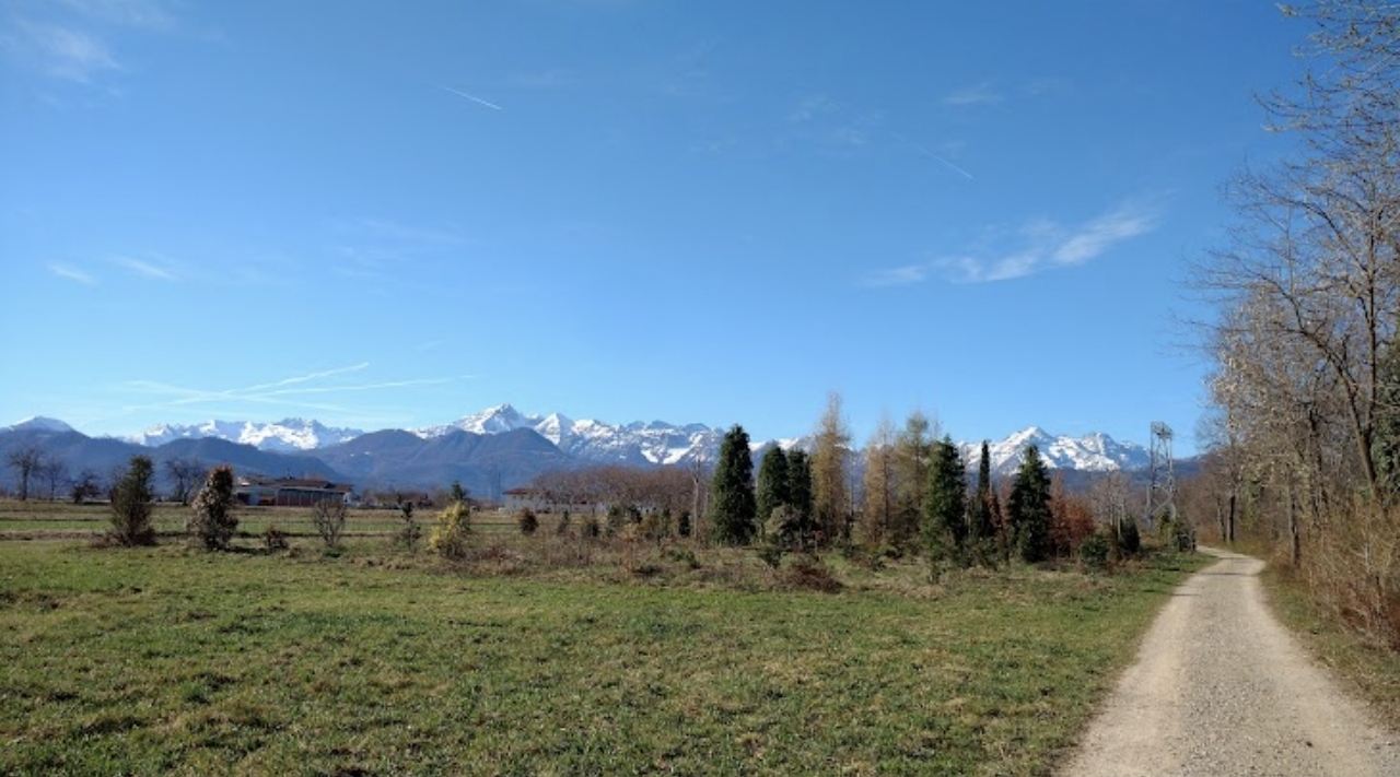 Riserva Naturale Confluenza Gesso - Stura