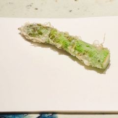 元吉 天婦羅張用戶圖片