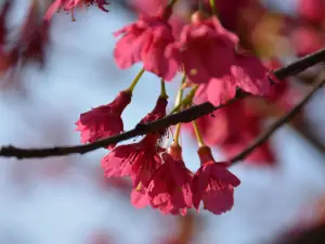 福州国家森林公園