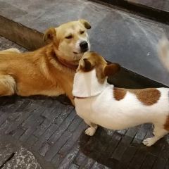 玉楼春(卧龙桥店) User Photo