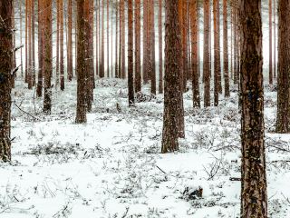 竹東藝文空間‧樹杞林文化館附近住宿