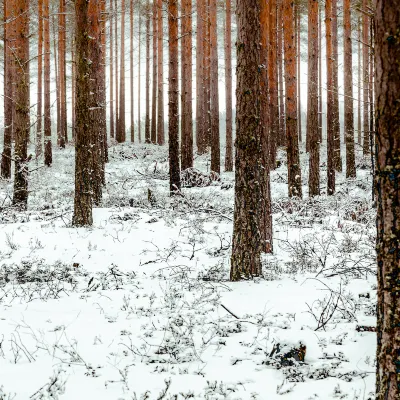 5-звездочные отели в г. Куньшань