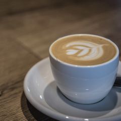 Freischwimmer User Photo