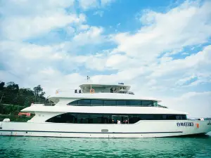 Jialing River Cruise Ships