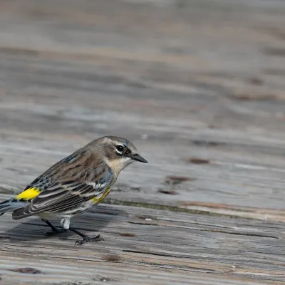 Отели с услугой бассейном в г. Ки-Уэст