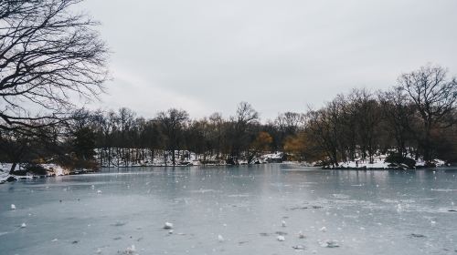 百脈泉公園