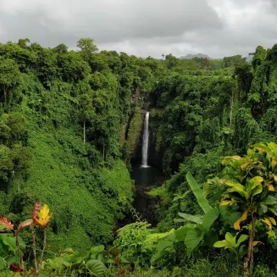 Voli low cost Kauai Island Olson Air