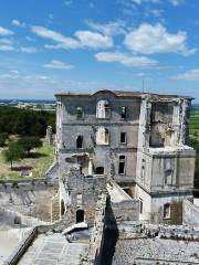 Abbaye de Montmajour