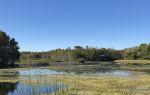 Bailang Oasis Wetland Park