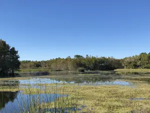 Bailang Oasis Wetland Park