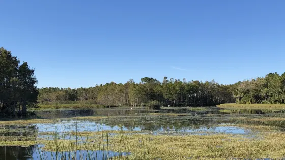 白浪綠洲濕地公園