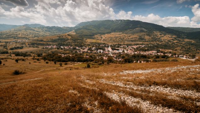日本東京+大室山+城崎海岸+門脅吊橋一日遊【包車遊 定制】