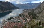 Kotor