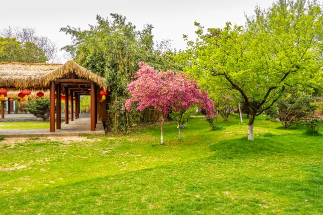 The Westin Nanjing Xuanwu Lake