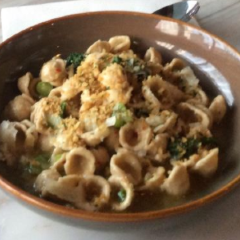 Tipo 00張用戶圖片