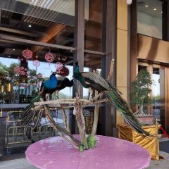 太湖龙之梦雅仕酒店·ADD全日制餐厅 User Photo