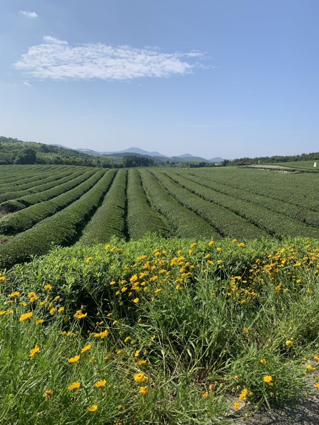 룽츠산(용지산) 자전거 공원