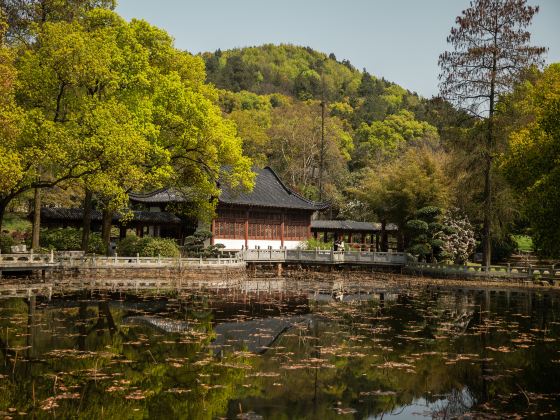 Mid-Level Lotus Garden