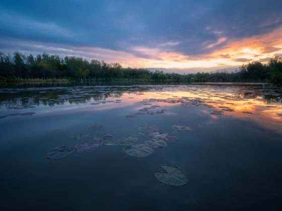 Menglishuixiang Wetland Park