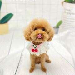 酷狗苑宠物店 User Photo