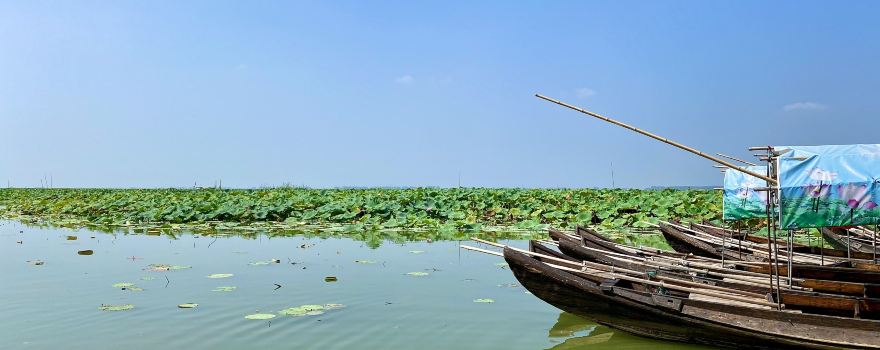 Diaochahu National Wetland Park