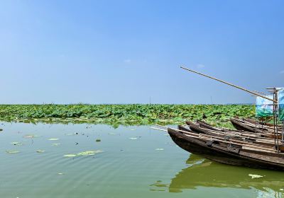 Diaocha Lake