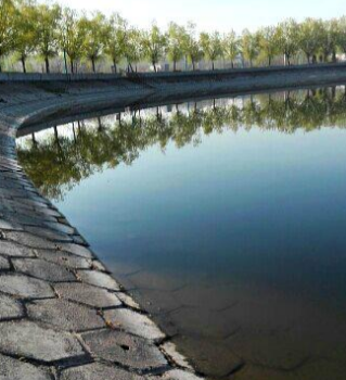 Longhu Park