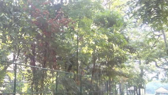 Botanical Garden & Arboretum