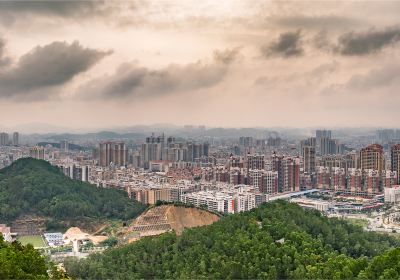 Bijia Mountain Forest Park