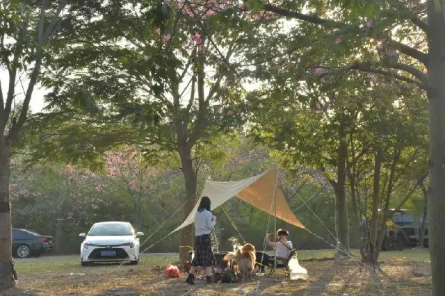 Camping in Foshan