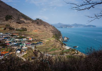 加川タレンイ村