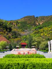 Longquan Temple