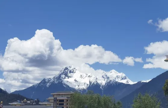 酸叔老壇酸菜雞