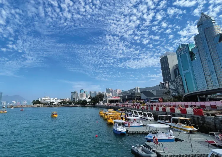 【水上單車】香港水上單車5大推介 情侶親子好去處/靚景打卡位