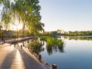 Xihai Wetland Park (South Gate)