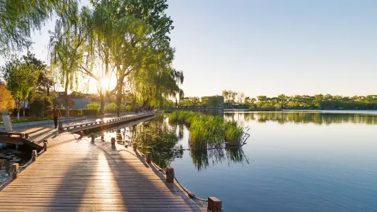 西海湿地公園（南門）