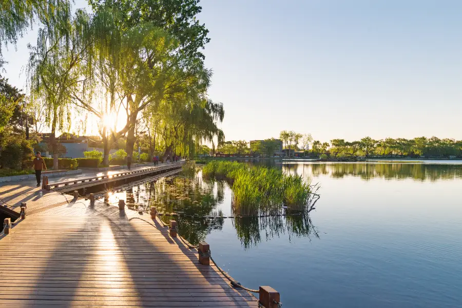 Xihai Wetland Park (South Gate)